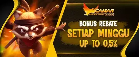 VIP Weekly Rebate Slot Game promotion